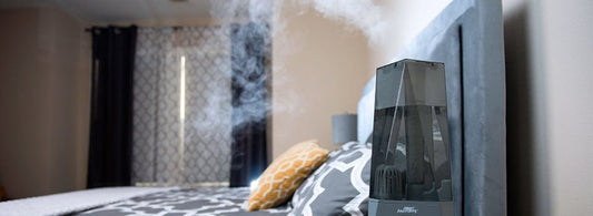 Are Room Humidifiers Necessary? Consider These 3 Things - Air Innovations
