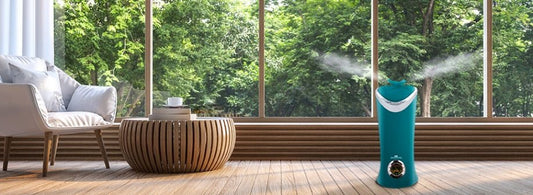What Does A Humidifier Do And How Can I Get One? – Air Innovations