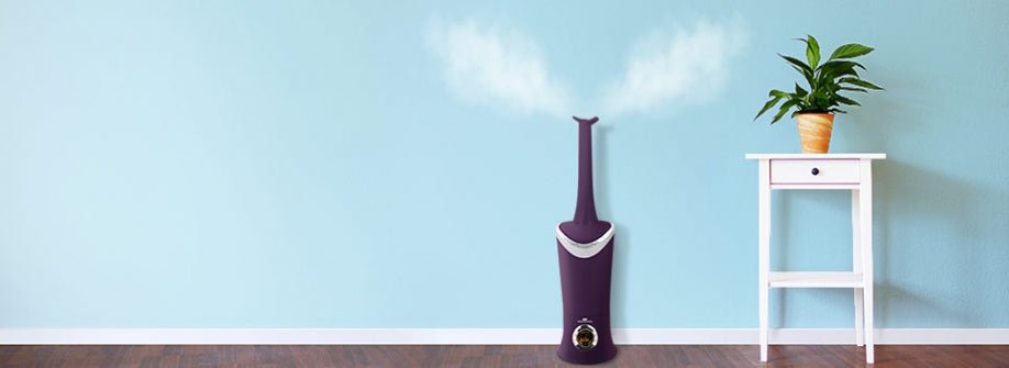 Can I Run My Humidifier All Year-Round? - Air Innovations