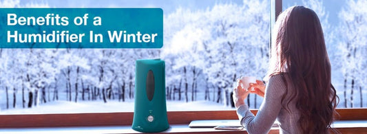 The Winter Benefits of a Humidifier - Air Innovations