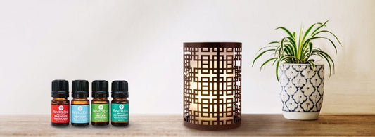What Are The Health Benefits Of Aromatherapy? - Air Innovations